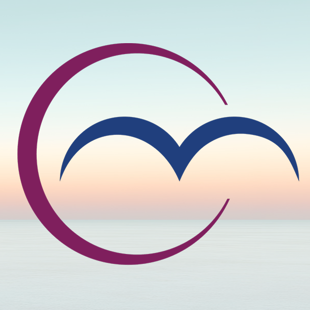 Silver Linings Gala 2026 - logo